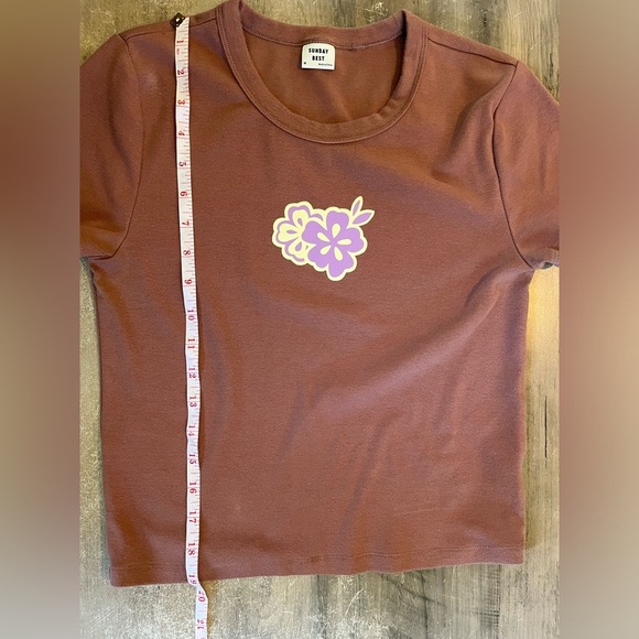 Aritzia Sunday Best Cropped Marsala TShirt Medium - Picture 6 of 8